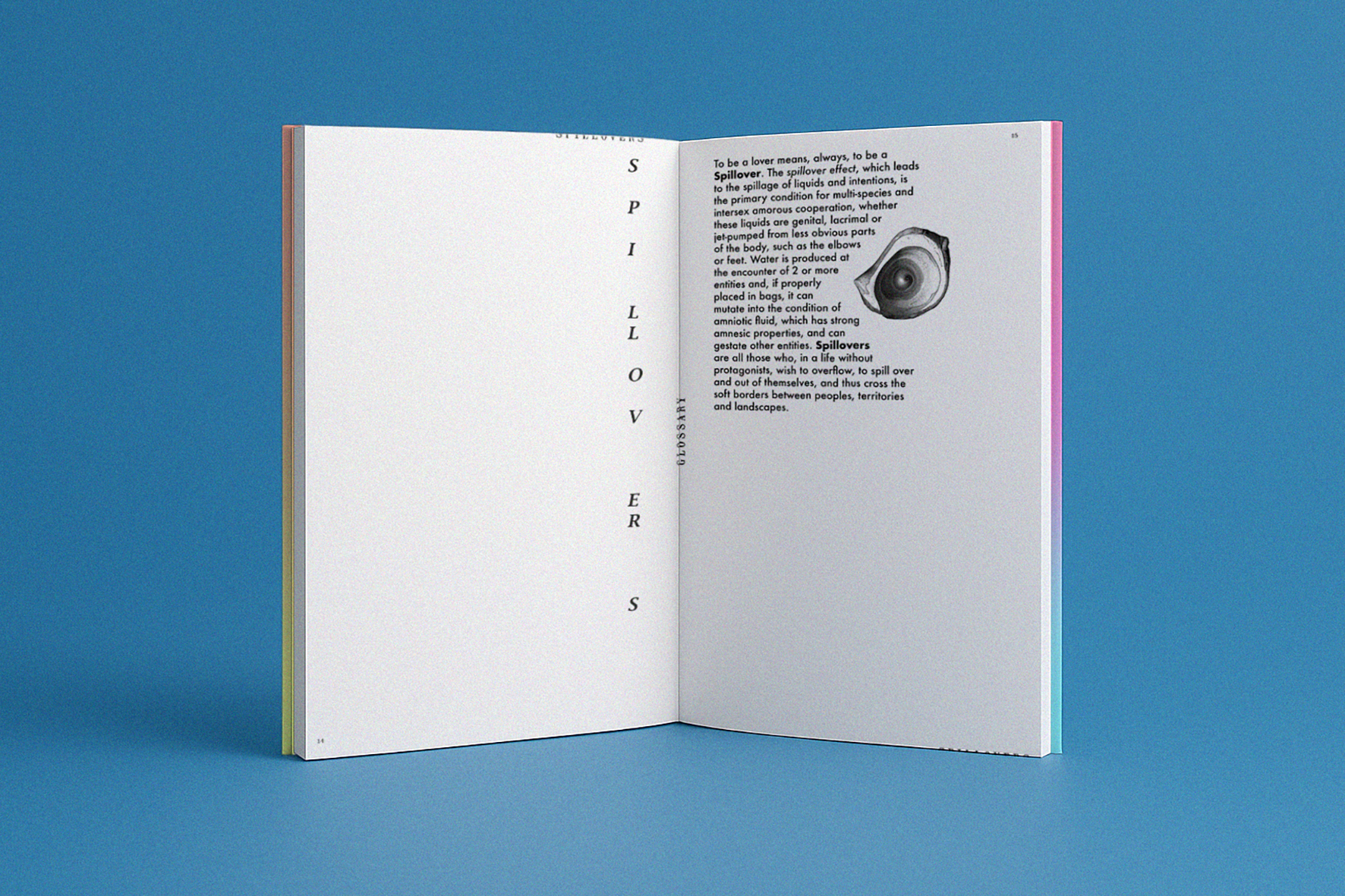 Spillovers de Ritó Natálio - Ilustrativo 2